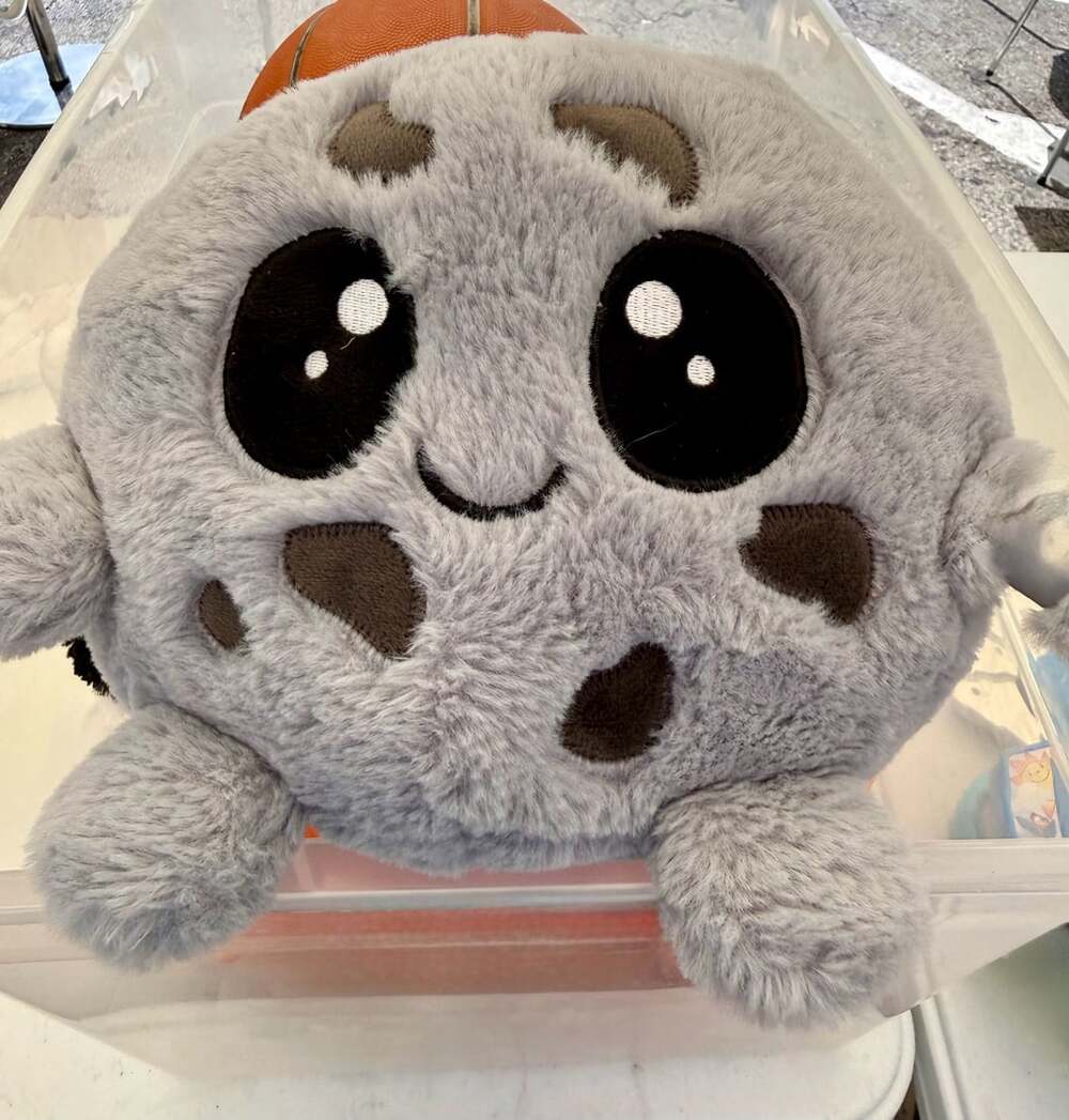 Gumball Moon Plush Full Moon Plush in like new condition.